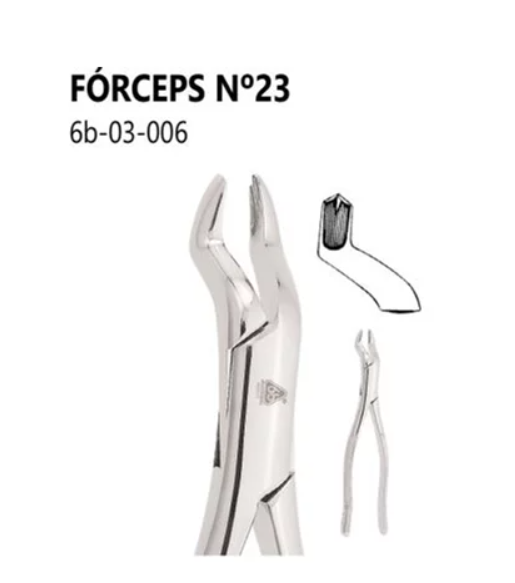 Fórceps Adulto - N° 16 22